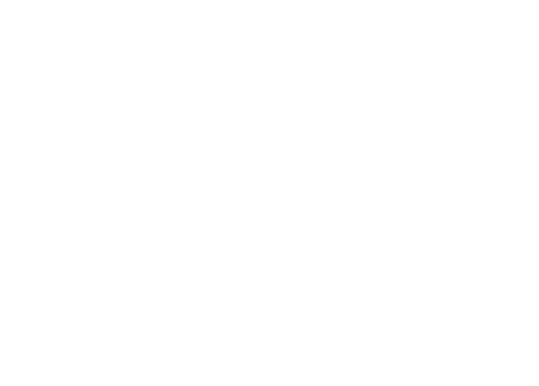 filtro vettoriale